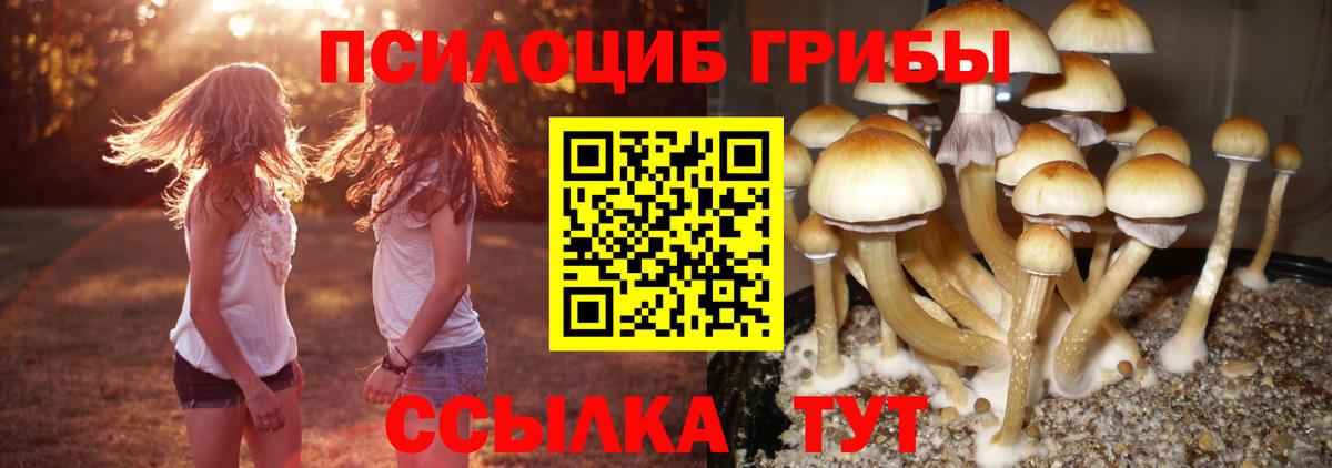 Псилоцибиновые грибы прущие грибы Каменка