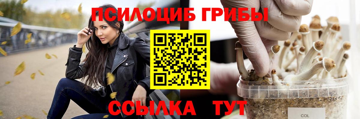 Каменка  Галлюциногенные грибы MAGIC MUSHROOMS  Псилоцибиновые грибы Cubensis  где можно купить наркотик  Вход с VPN 